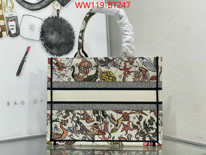 Dior Big Sale ID: BT247