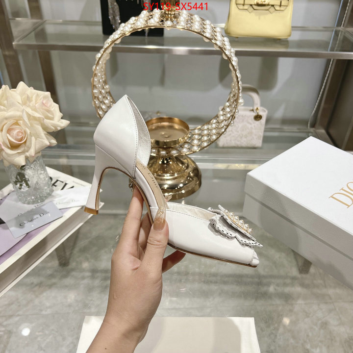 Women Shoes-Dior buy online ID: SX5441 $: 119USD