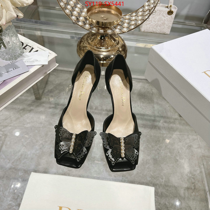 Women Shoes-Dior buy online ID: SX5441 $: 119USD