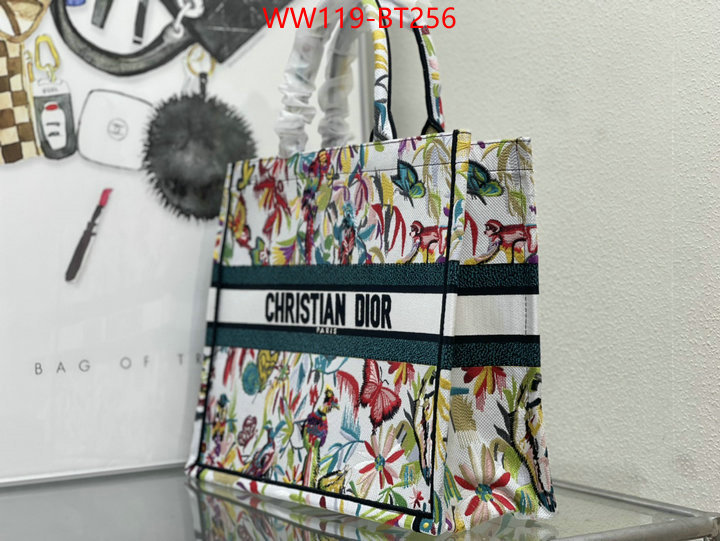 Dior Big Sale ID: BT256