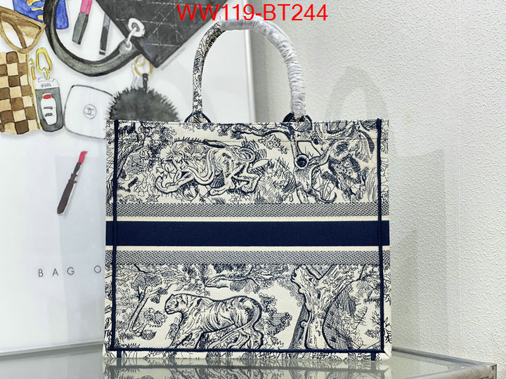 Dior Big Sale ID: BT244