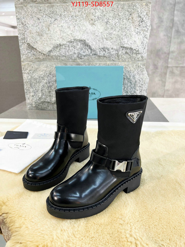 Women Shoes-Boots wholesale sale ID: SD8557 $: 119USD