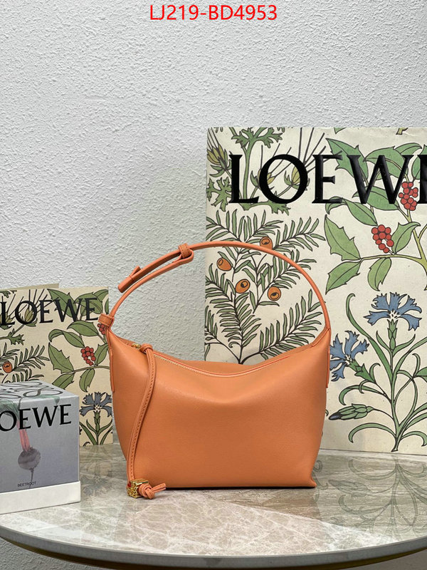 Loewe Bags(TOP)-Cubi fake aaaaa ID: BD4953 $: 219USD,