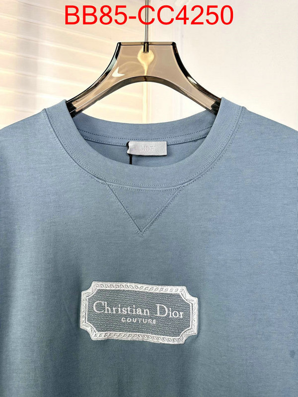 Clothing-Dior wholesale designer shop ID: CC4250 $: 85USD