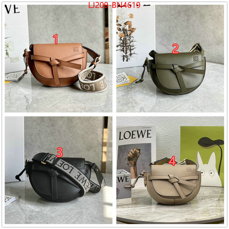 Loewe Bags(TOP)-Gate- at cheap price ID: BN4619 $: 209USD,