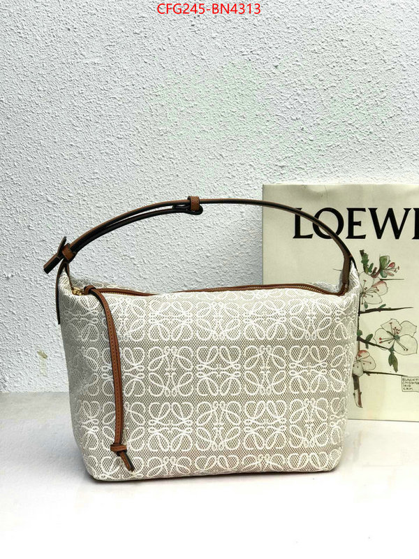 Loewe Bags(TOP)-Cubi fake high quality ID: BN4313 $: 245USD,