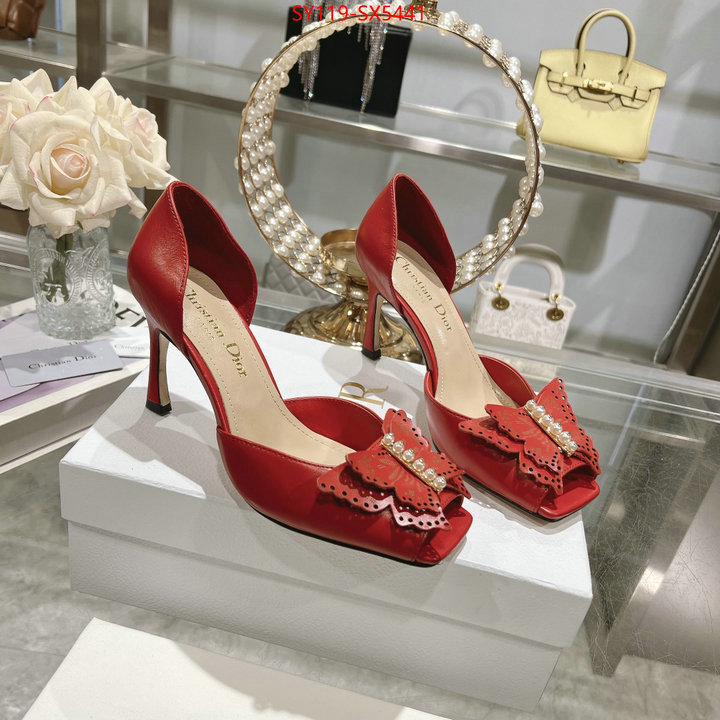 Women Shoes-Dior buy online ID: SX5441 $: 119USD