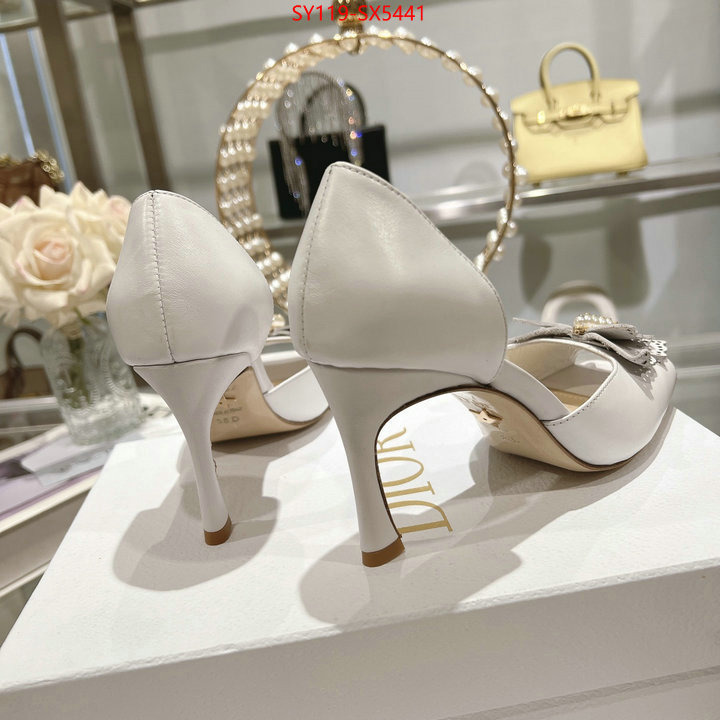 Women Shoes-Dior buy online ID: SX5441 $: 119USD