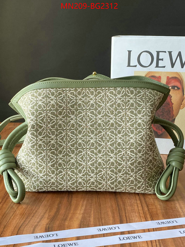 Loewe Bags(TOP)-Flamenco supplier in china ID: BG2312 $: 209USD,