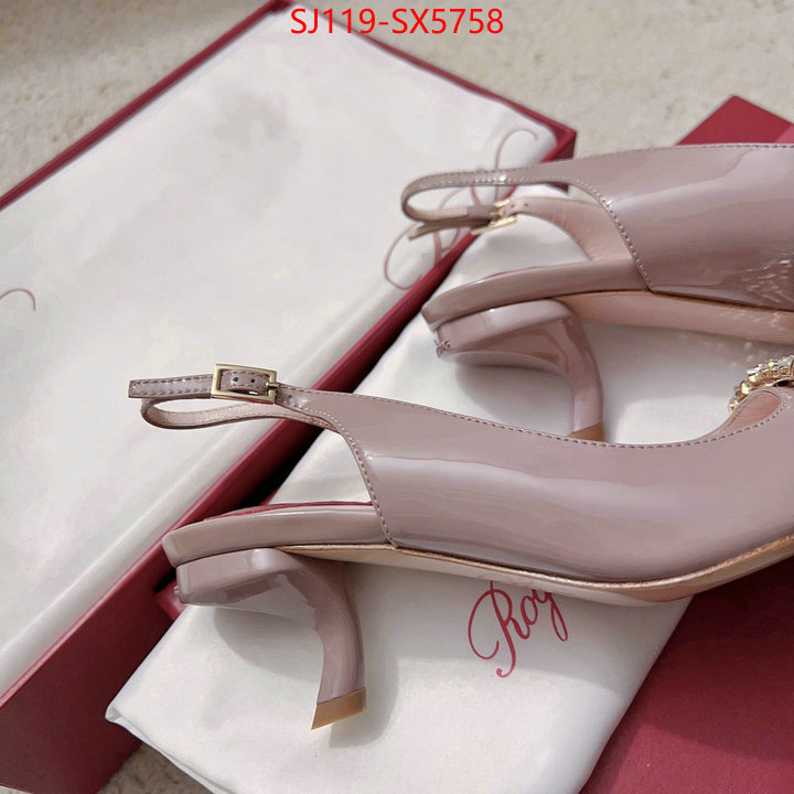 Women Shoes-Rogar Vivier best quality fake ID: SX5758 $: 119USD