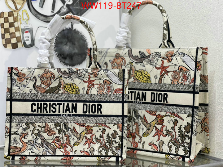 Dior Big Sale ID: BT247