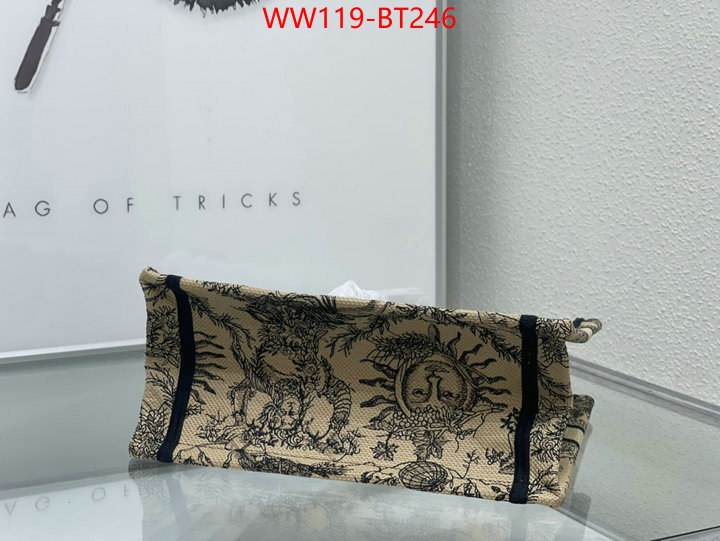 Dior Big Sale ID: BT246