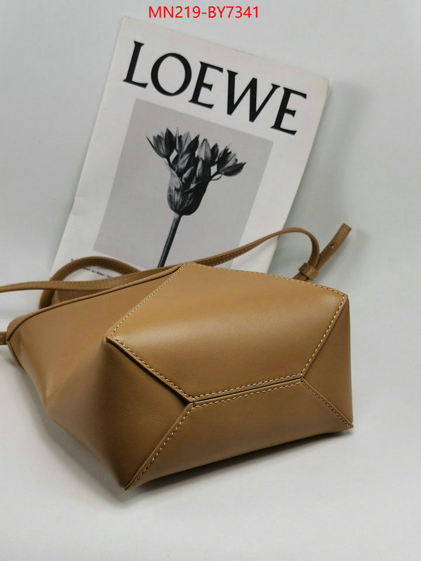 Loewe Bags(TOP)-Handbag- wholesale ID: BY7341 $: 219USD,