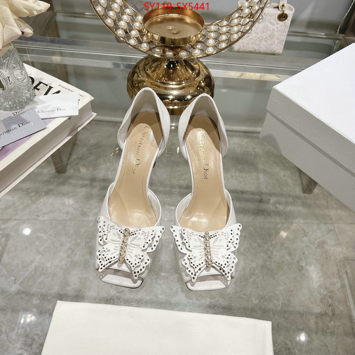 Women Shoes-Dior buy online ID: SX5441 $: 119USD