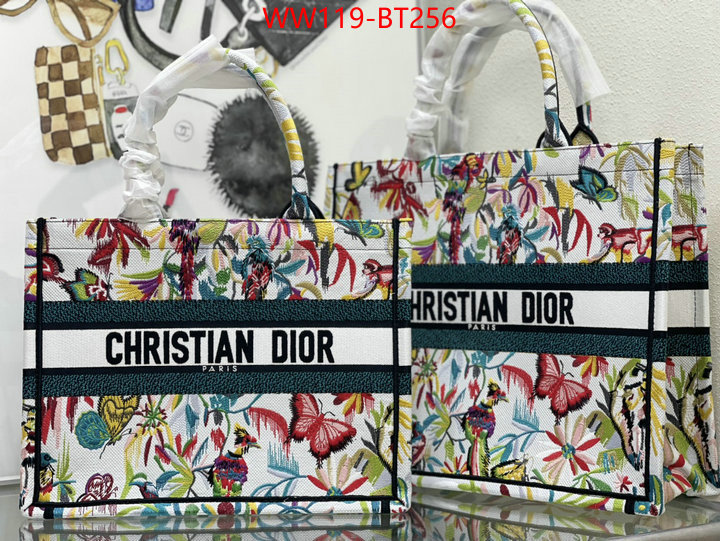 Dior Big Sale ID: BT256