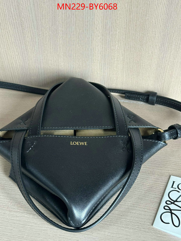 Loewe Bags(TOP)-Handbag- replica best ID: BY6068 $: 229USD,