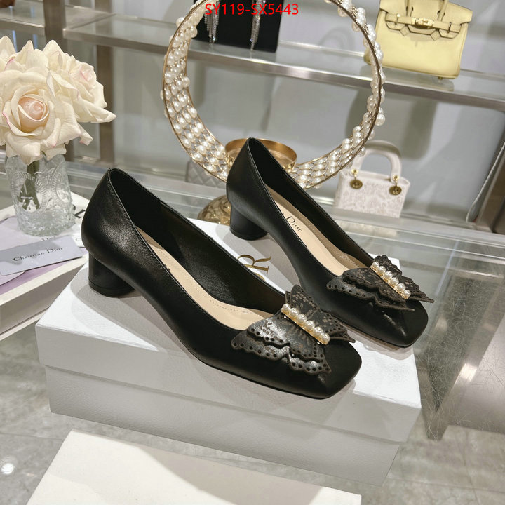 Women Shoes-Dior 1:1 clone ID: SX5443 $: 119USD