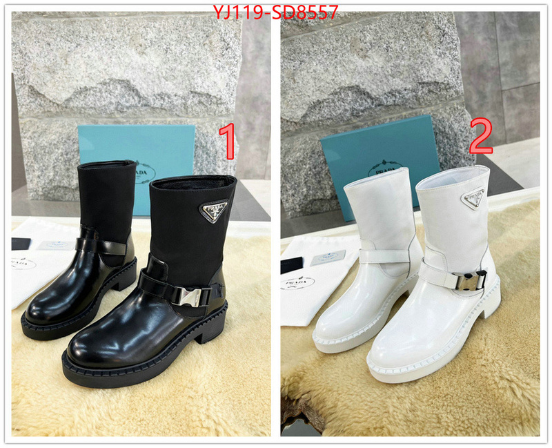 Women Shoes-Boots wholesale sale ID: SD8557 $: 119USD