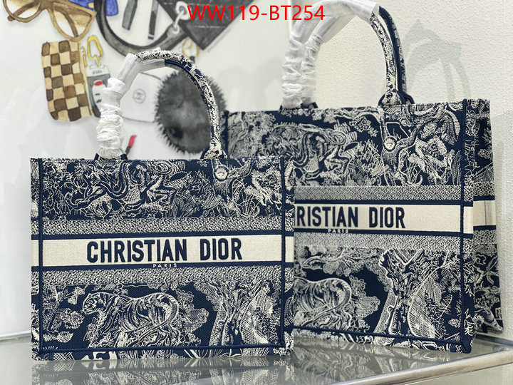 Dior Big Sale ID: BT254