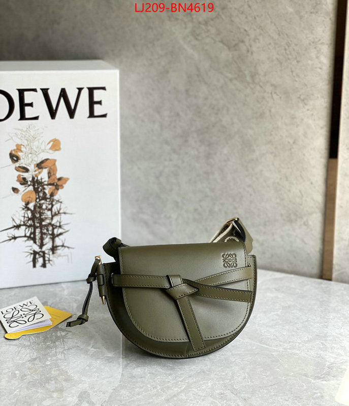 Loewe Bags(TOP)-Gate- at cheap price ID: BN4619 $: 209USD,