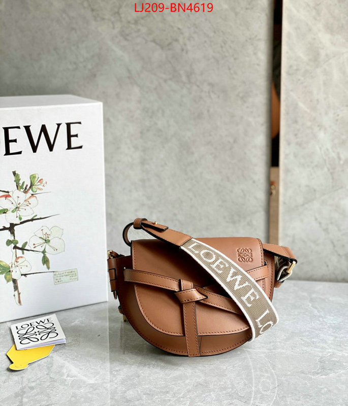 Loewe Bags(TOP)-Gate- at cheap price ID: BN4619 $: 209USD,