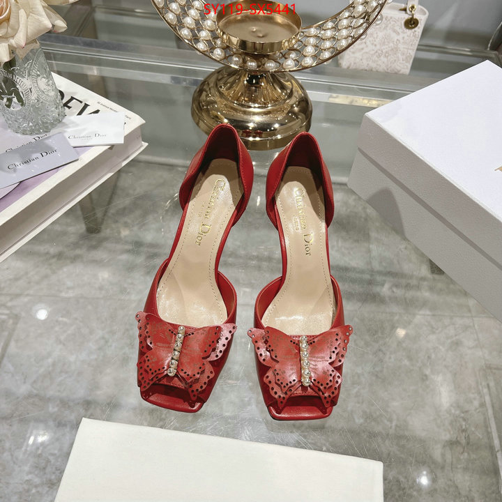 Women Shoes-Dior buy online ID: SX5441 $: 119USD