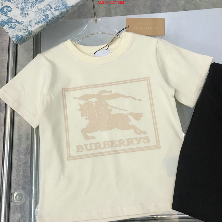 Kids clothing-Burberry every designer ID: CX4663 $: 75USD