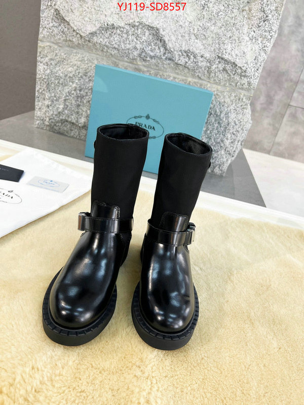 Women Shoes-Boots wholesale sale ID: SD8557 $: 119USD