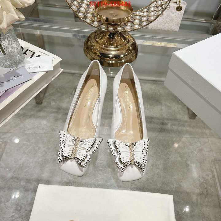 Women Shoes-Dior 1:1 clone ID: SX5443 $: 119USD