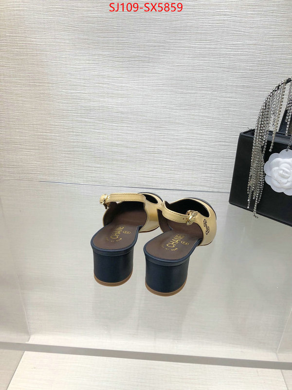 Women Shoes-Chanel wholesale china ID: SX5859 $: 109USD