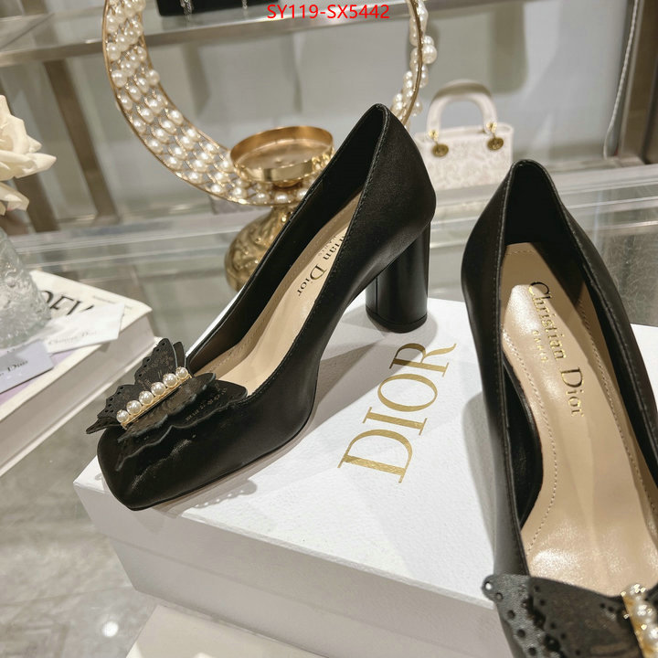 Women Shoes-Dior first top ID: SX5442 $: 119USD