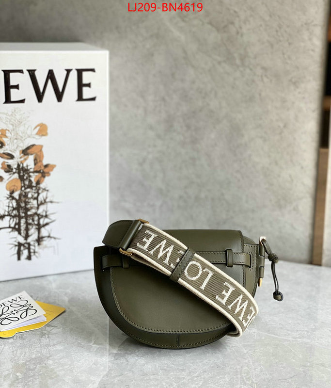 Loewe Bags(TOP)-Gate- at cheap price ID: BN4619 $: 209USD,