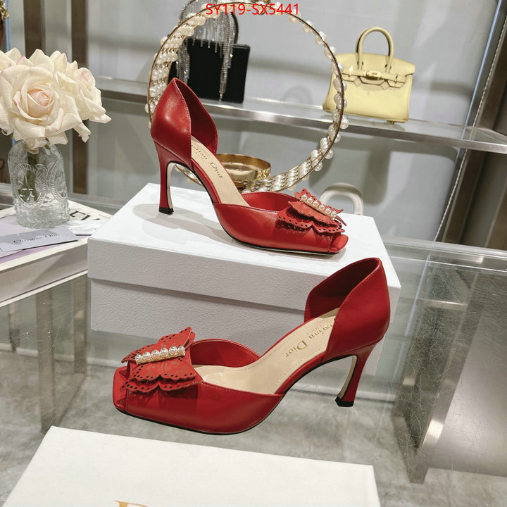 Women Shoes-Dior buy online ID: SX5441 $: 119USD
