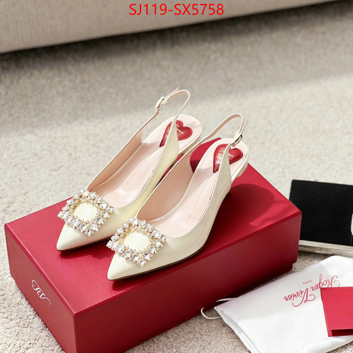 Women Shoes-Rogar Vivier best quality fake ID: SX5758 $: 119USD