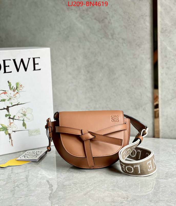 Loewe Bags(TOP)-Gate- at cheap price ID: BN4619 $: 209USD,