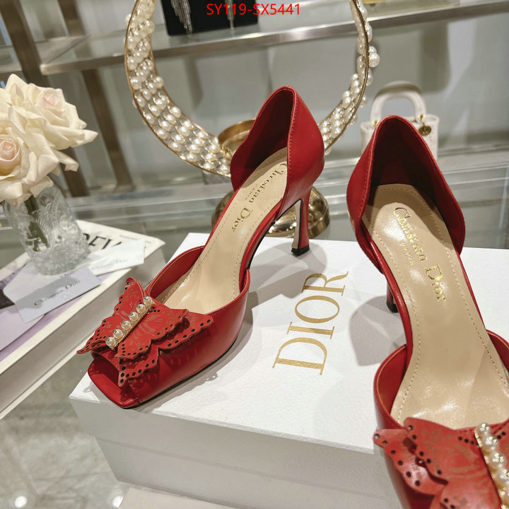 Women Shoes-Dior buy online ID: SX5441 $: 119USD