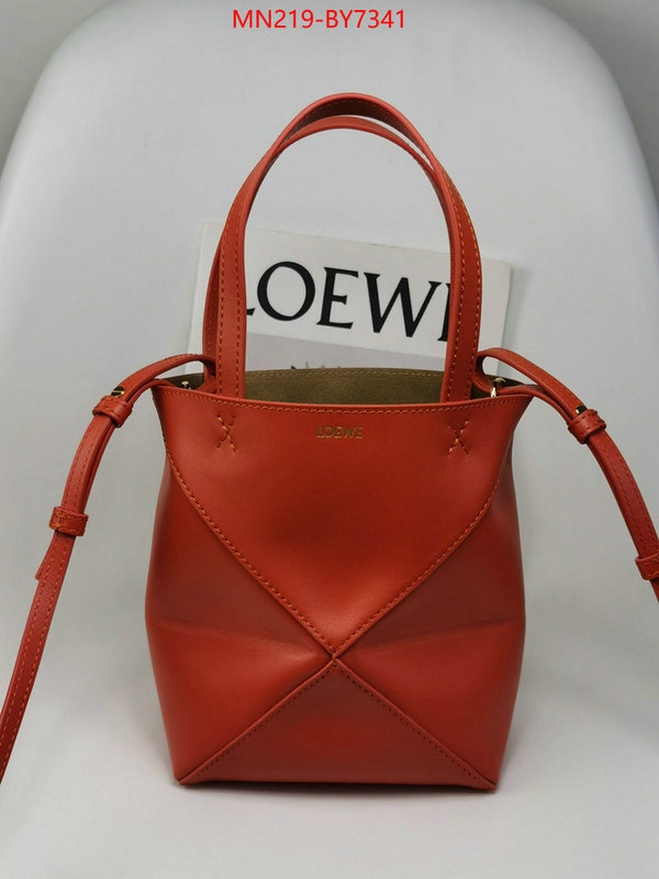 Loewe Bags(TOP)-Handbag- wholesale ID: BY7341 $: 219USD,