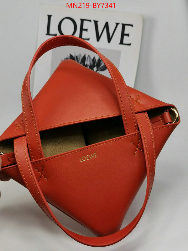 Loewe Bags(TOP)-Handbag- wholesale ID: BY7341 $: 219USD,