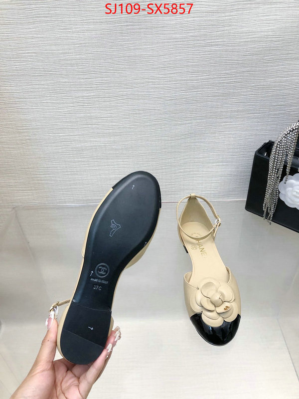 Women Shoes-Chanel 2024 perfect replica designer ID: SX5857 $: 109USD