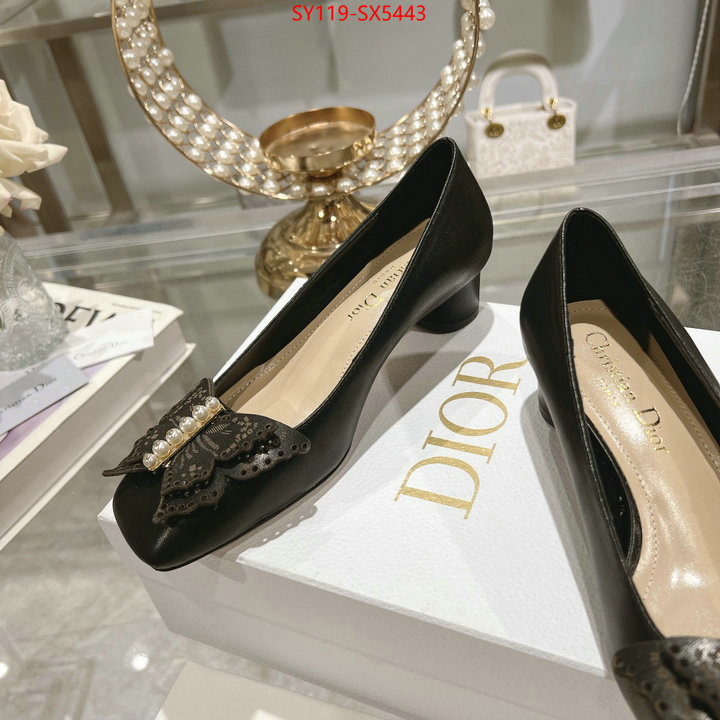 Women Shoes-Dior 1:1 clone ID: SX5443 $: 119USD