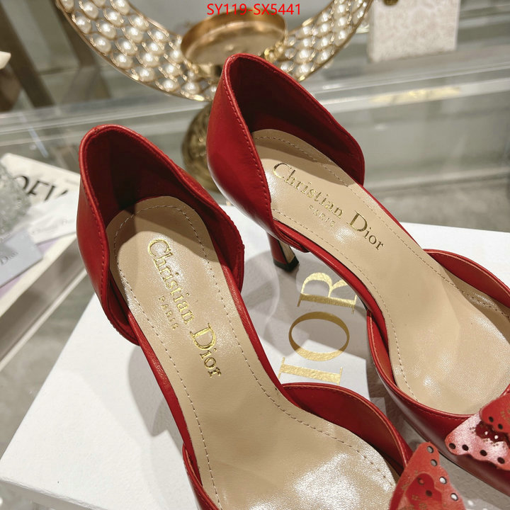 Women Shoes-Dior buy online ID: SX5441 $: 119USD