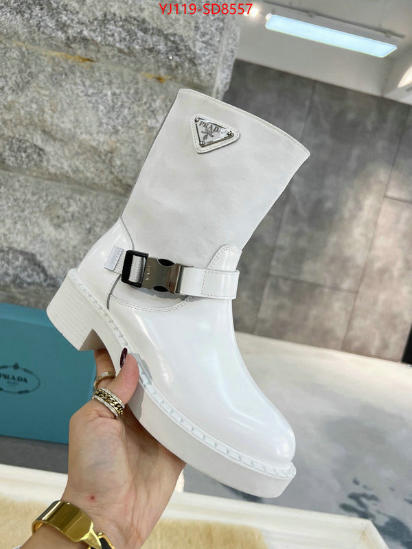 Women Shoes-Boots wholesale sale ID: SD8557 $: 119USD