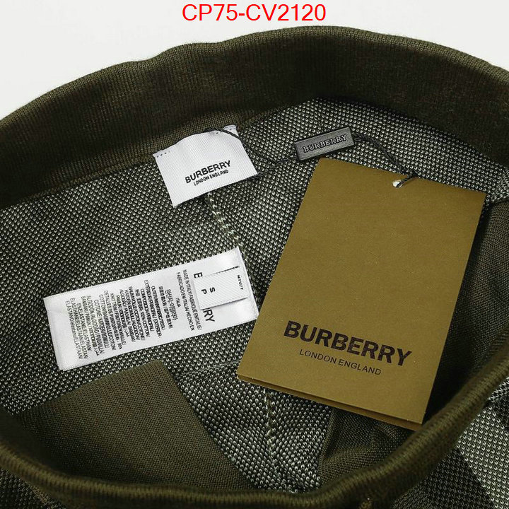 Clothing-Burberry online china ID: CV2120 $: 75USD