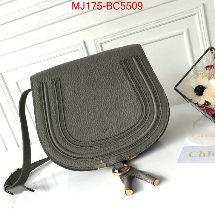 Chloe Bags(TOP)-Diagonal practical and versatile replica designer ID: BC5509