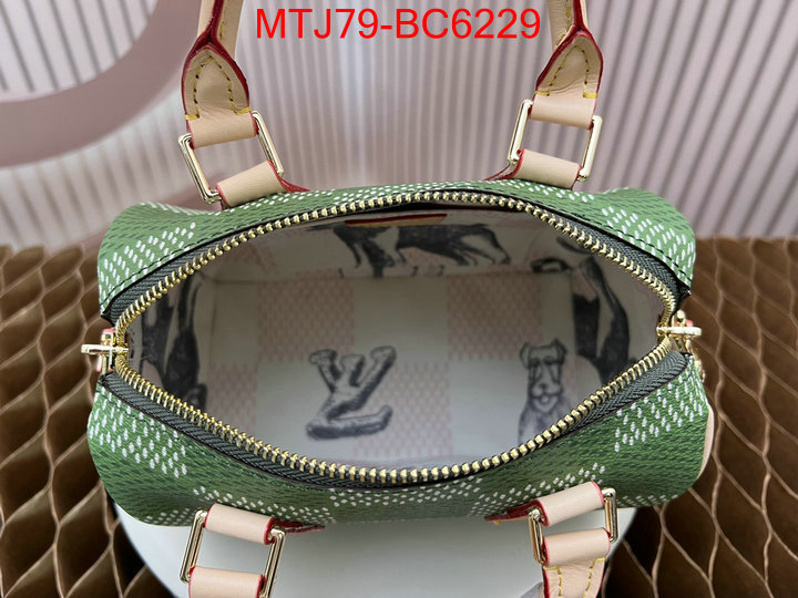 LV Bags(4A)-Speedy- aaaaa customize ID: BC6229 $: 79USD,