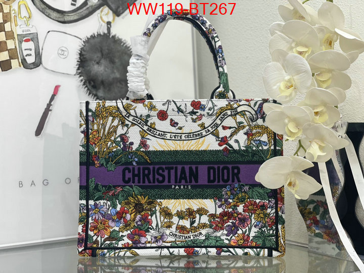 Dior Big Sale ID: BT267