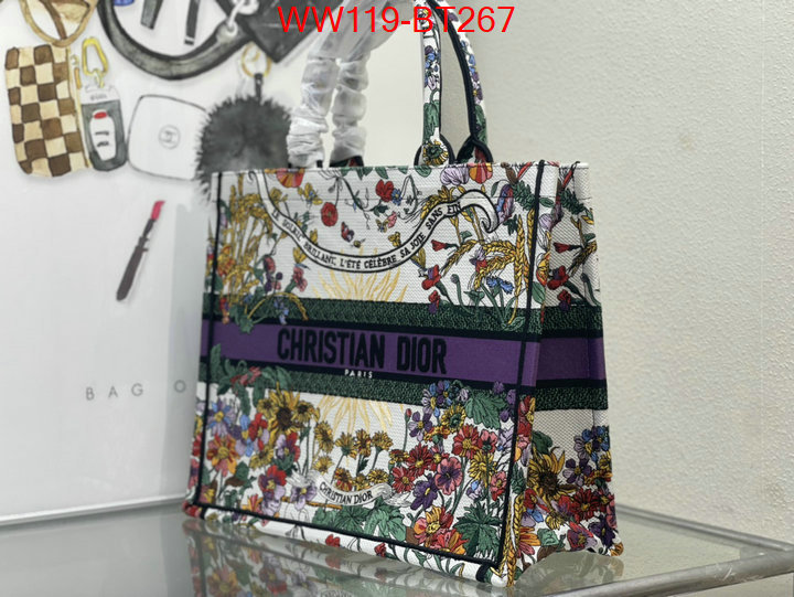 Dior Big Sale ID: BT267