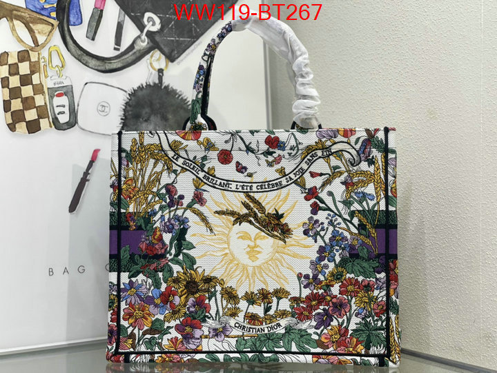 Dior Big Sale ID: BT267