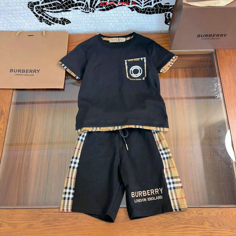 Kids clothing-Burberry sell online ID: CX6614 $: 85USD