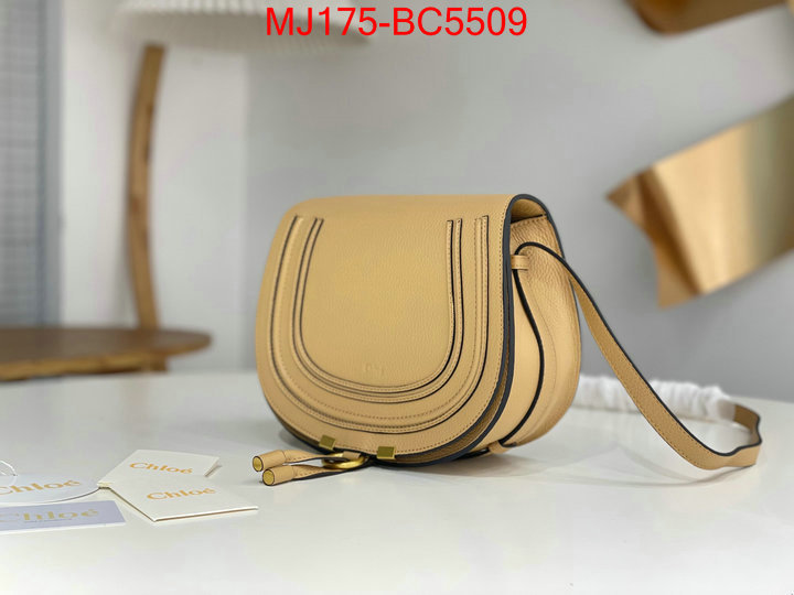 Chloe Bags(TOP)-Diagonal practical and versatile replica designer ID: BC5509